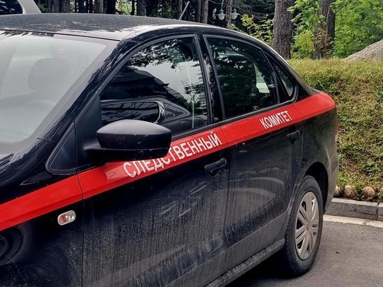 Тело пожилого мужчины обнаружили в автомобиле в Южно-Сахалинске