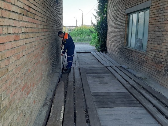 Пензенские спасатели извлекли из колодца пса