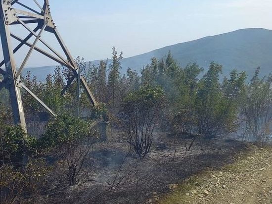 В Геленджике потушили крупный лесной пожар
