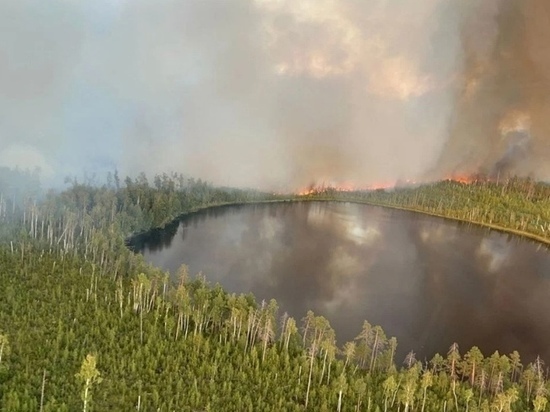 «Лесной пожар в Марий Эл»: что нового произошло к 25 августа