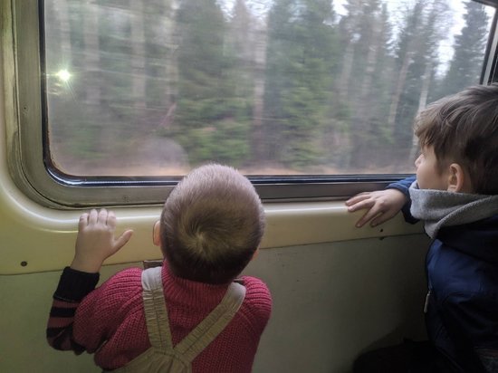 Дети из нескольких районов получат компенсацию за путешествие по Вологодчине