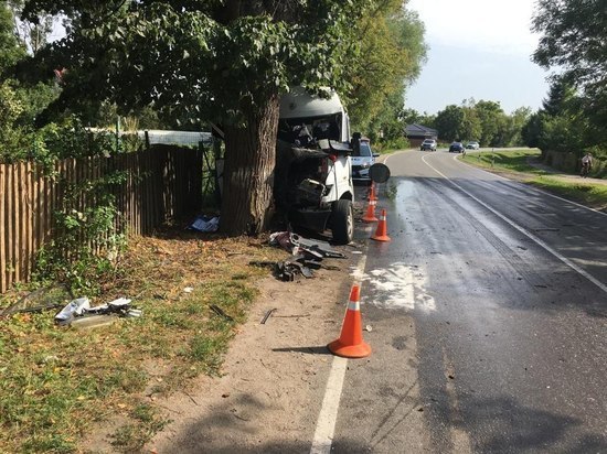 В Гурьевском районе Mercedes врезался в дерево