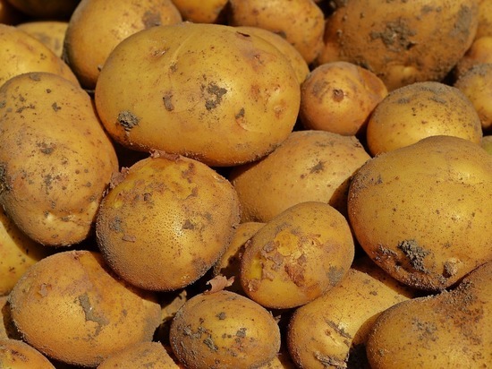 Цены на картофель в Мурманской области обвалились на десять процентов