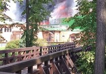 Сильный пожар возник 25 августа на территории конного парка в деревне Орлово Ленинского района