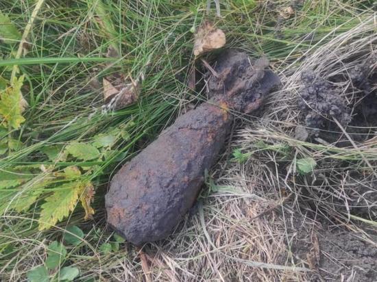 В Шацком районе Рязанской области обнаружили миномётную мину времён ВОВ