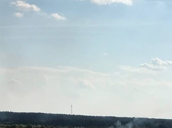 25 августа в рязанской Солотче загорелись луга