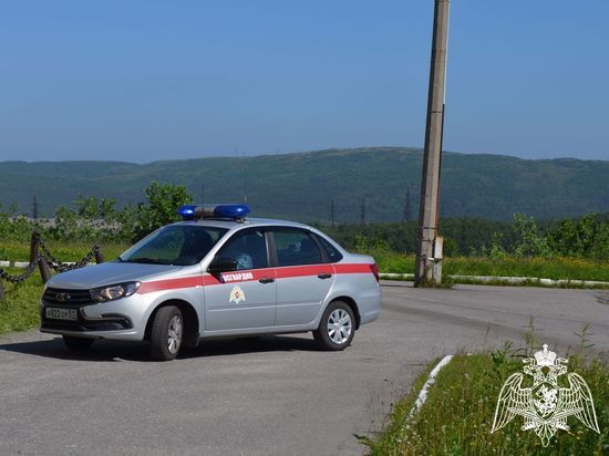 Двое агрессивных молодых людей нарушили сон мурманчан