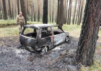 Как рассказали спасатели центра, для тушения полыхающей машины, на место выехали сотрудники Минусинской лесопожарной станции