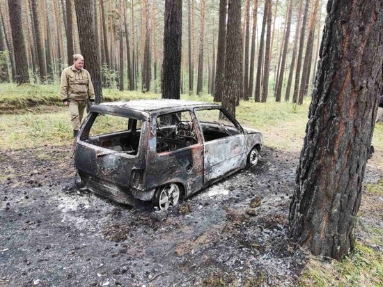 Загоревшаяся «Ока» грибников чуть не сожгла тайгу в Красноярском крае