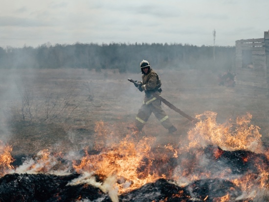 В Тверской области загорелся лес недалеко от деревни
