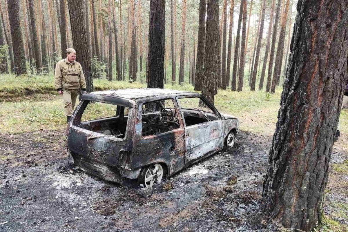 Загоревшаяся «Ока» грибников чуть не сожгла тайгу в Красноярском крае - МК  Красноярск