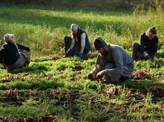 Добровольцев зовут собирать урожай в садах карельского монастыря