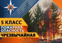 Увеличение числа природных возгораний зафиксировано на территории Донецкой Народной Республики (ДНР) из-за погодных условий