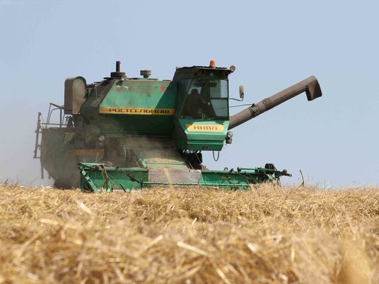 Этим летом в Башкирии рассчитывают собрать четыре миллиона тонн зерна