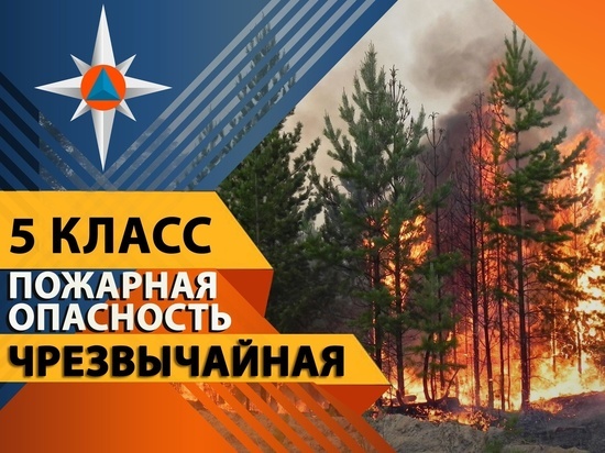 Рост природных пожаров зафиксирован на территории ДНР из-за погодных условий