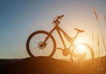 В период с 10:00 до 17:00 часов 4 сентября в Зеленоградском муниципальном округе пройдет велопробег «Тур-де-Кранц 2022», в связи с чем часть дорог будет перекрыта. Об этом сообщили в официальном сообществе администрации муниципалитета во «ВКонтакте».