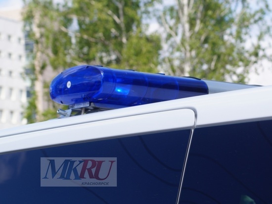 Браконьеры в Таймырском районе Красноярского края добывали краснокнижного лебедя