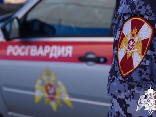 Брянские росгвардейцы задержали магазинного вора