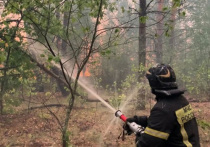 Врио губернатора Рязанской области Павел Малков заявил, что пожарным удалось остановить распространение лесного пожара, ситуация, по его словам, полностью контролируемая