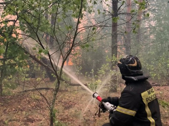 Распространение рязанских пожаров остановлено, но поселки в зоне задымления