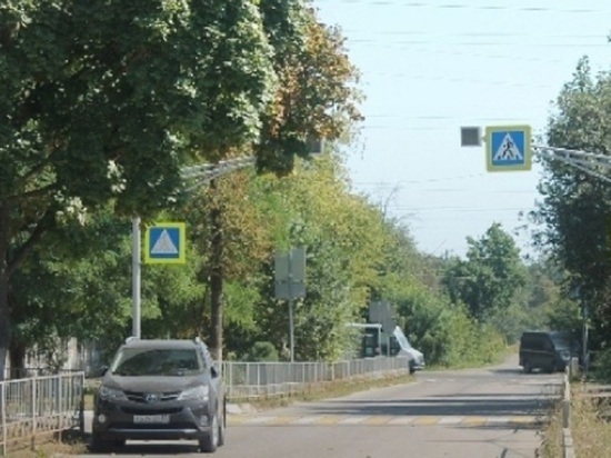 В Орле нашли опасные участки школьных маршрутов