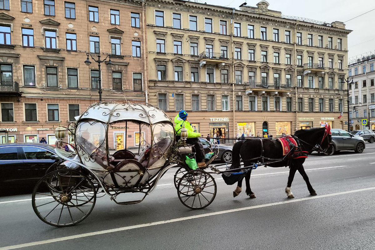 Объявления Питера, Красносельский район