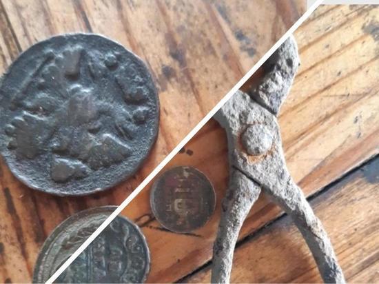Редкую монету 1740 года нашли в огороде в Новосибирске