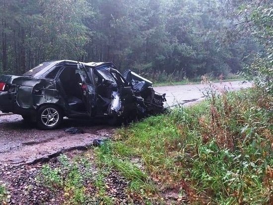Костромские аварии: пьяный водитель «Лады» едва не угробил своего пассажира