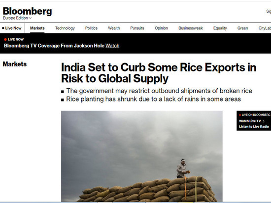 Индия поставила мир на грань голода, ограничив вывоз риса