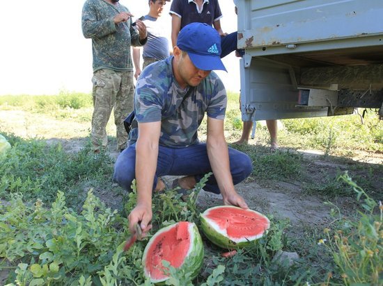 В Дагестане сельхозкооперативам выдали более 44 млн рублей