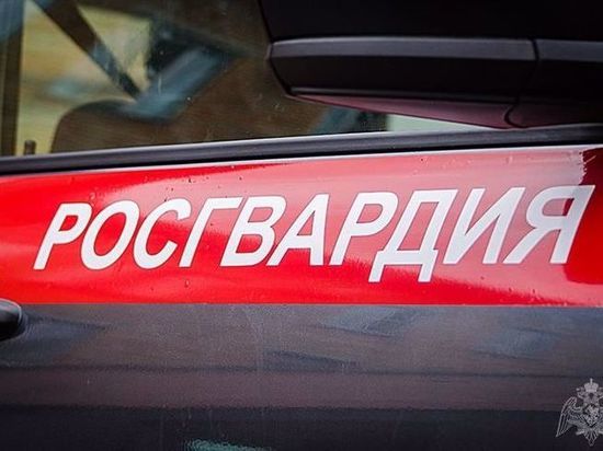 Росгвардецы задержали в Мурманске 19-летнюю девушку, находящуюся в федеральном розыске