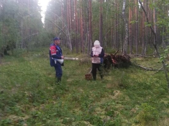 Спасатели вывели заплутавшего мужчину из леса в Тосненского районе