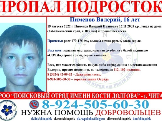 Добровольцы второй раз за месяц начали искать подростка из Шилки
