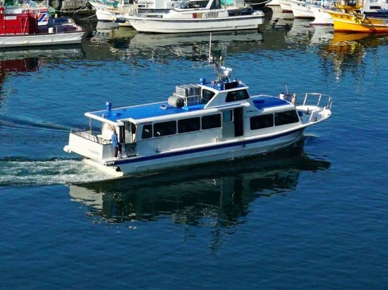 СМИ: Россия передаст Японии тела погибших при крушении KAZU 1