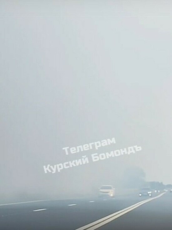 В Курской области горит придорожная трава под Курчатовом
