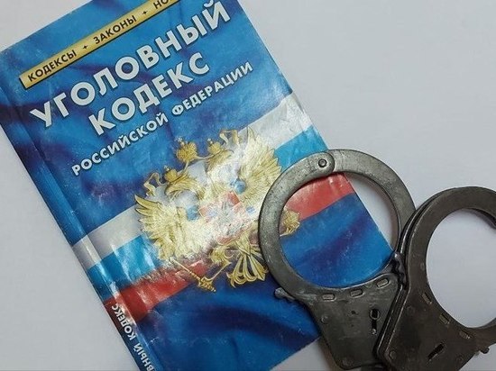 Житель Хабаровского края осужден за убийство отчима своей сожительницы