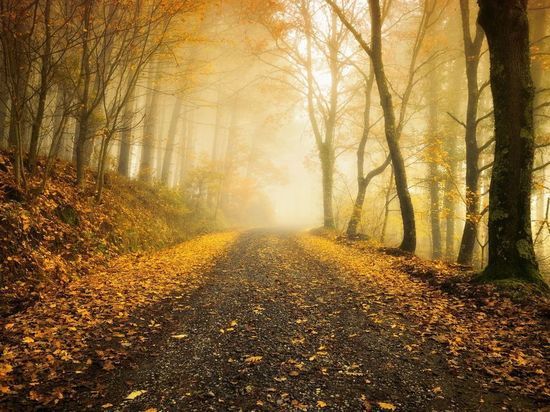 Волонтеры в Комсомольске-на-Амуре научили жителей как искать пропавших людей