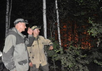 Утром 28 августа в Марий Эл борются с лесными пожарами в Юринском и Звениговском районах.
