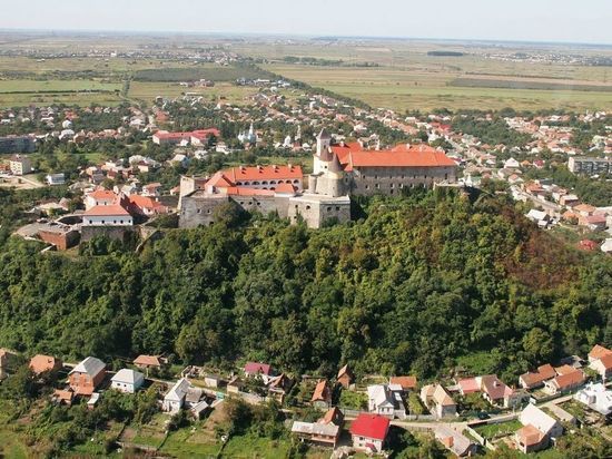 В Закарпатье пара торговала цветами, украденными с могил украинских военных