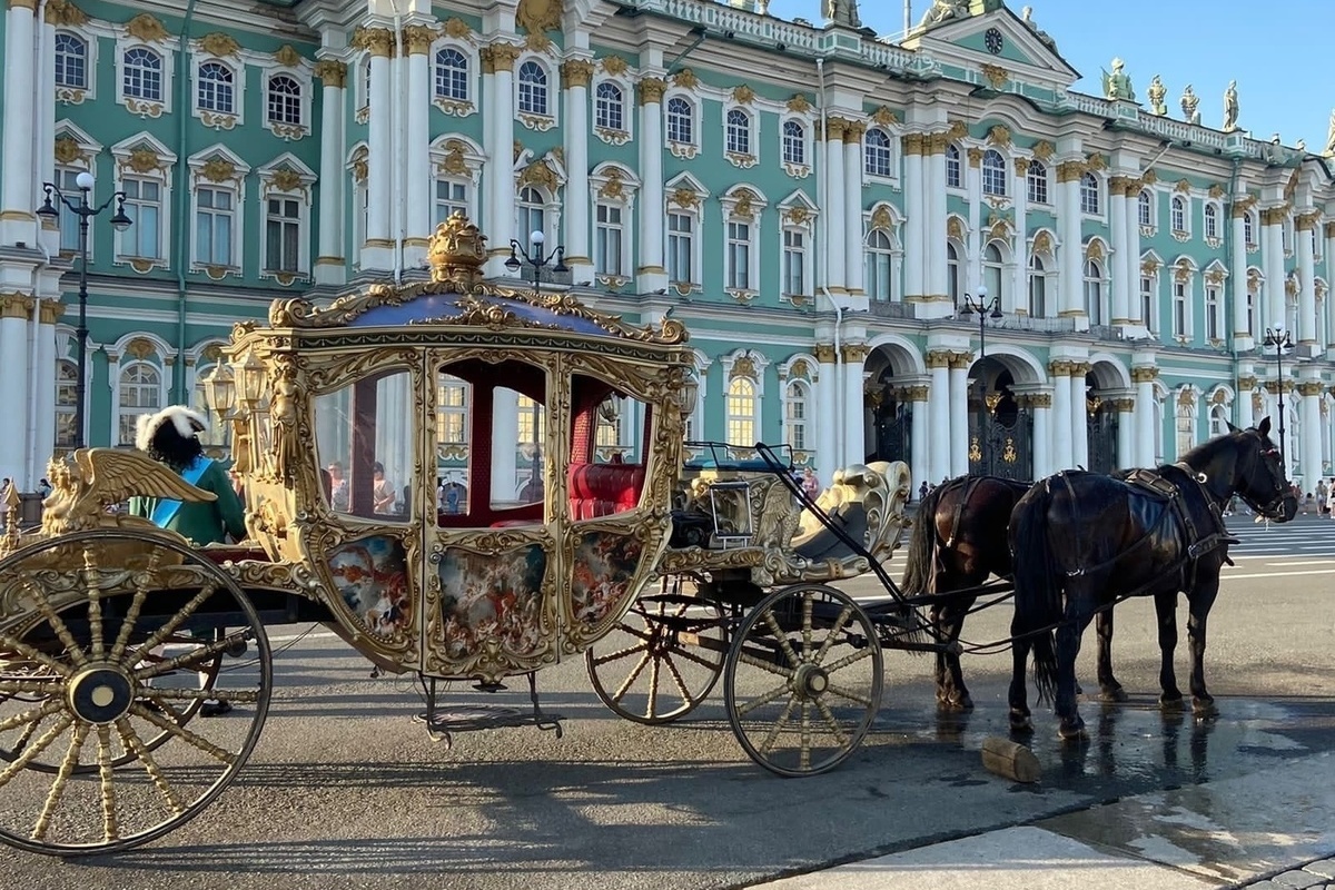 Петербург для школьников. Санкт-Петербург днем. Сентябрь в Петербурге. Санкт-Петербург в сентябре. Санкт-Петербург Эрмитаж чаша фото.