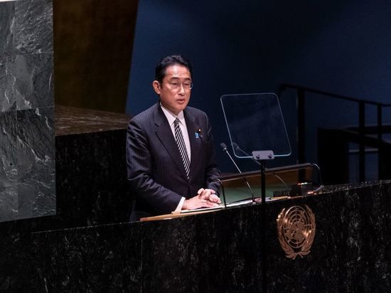 Премьер Японии предложил предоставить странам Африки постоянное членство в Совбезе ООН