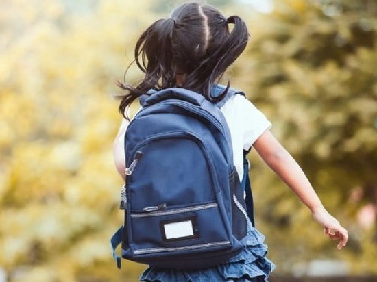  «Губернаторские портфели» получат будущие школьники в Амурской области