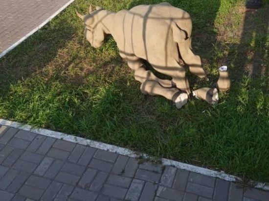 В центре Омска нетрезвая вандалка сломала фигуру сайгака с «Флоры»