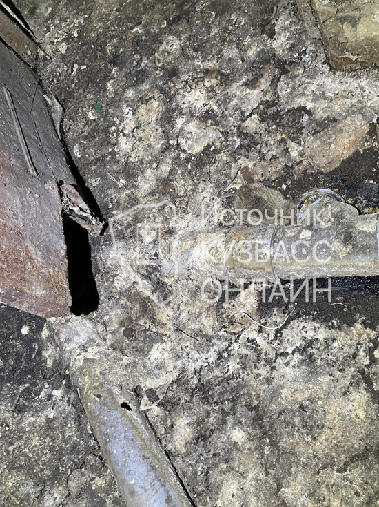 Полнейшая антисанитария: состояние подвала в кузбасском городе ужаснуло горожан