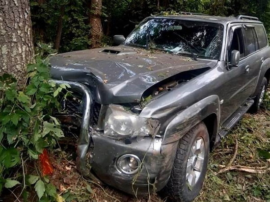 На трассе под Брянском врезался в дерево и погиб водитель внедорожника