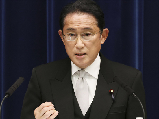 Поддержка правительства Японии упала на 10%