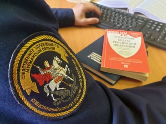 Пьяная мурманчанка пнула полицейского: «административка» сменилась на «уголовку»