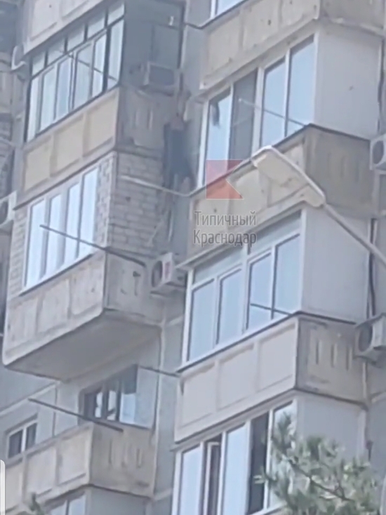 «Человек-паук»: в Краснодаре неадекватный мужчина карабкался по 10-этажке