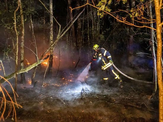 Площадь лесных пожаров в Рязанской области возросла