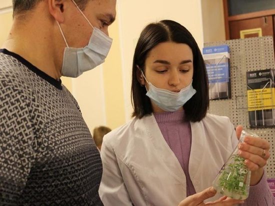 В Белгороде ищут организатора фестиваля науки